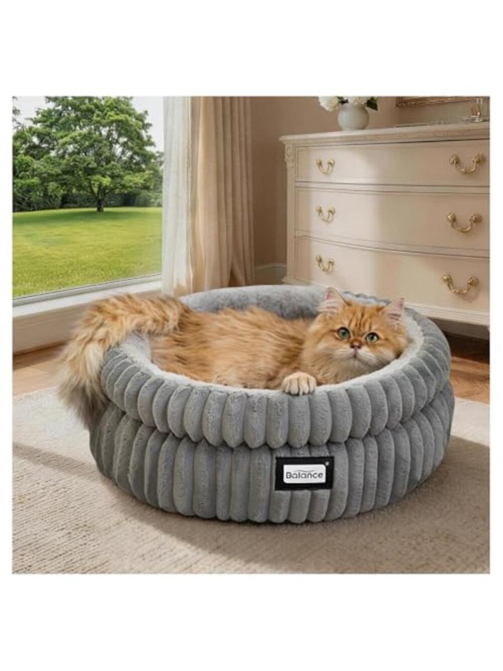 Cat Bed Kitten Bed, Washable Round Cat Beds for Indoor Cats, Super Soft